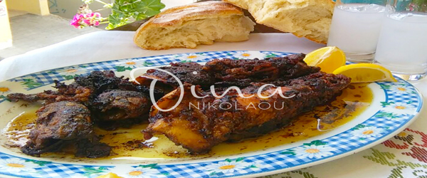 ΚΑΛΑΜΑΡΙΑ ΤΗΓΑΝΗΤΑ ΜΕ ΤΟ ΜΕΛΑΝΙ ΤΟΥΣ