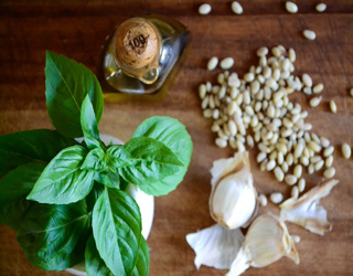 Βασιλικός ο Μυρωδάτος