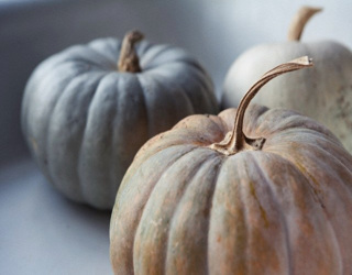 Φρέσκα Λαχανικά και Φρούτα Ιανουάριος