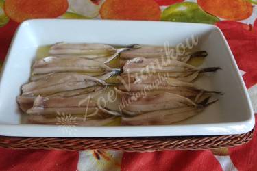 Γαύρος μαρινάτος (ψαράκι χλουπ)