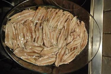 Γαύρος μαρινάτος
