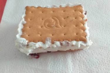 Παγωτό σάντουιτς
